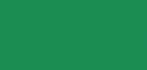 Бумага для пастели Mi-Teintes 160г/м.кв 50*65см №575, темно-зеленый, 10л