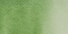 Акварельные краски "Maimeri Blu" зеленый хукера, кювета 1,5 ml
