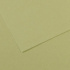 CANSON Mi-Teintes Бумага для пастели 160г/м.кв 75*110см №480 Зеленый светлый