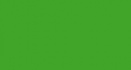 Акрил Reeves, светло-зеленый 75мл