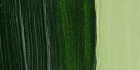 Алкидная краска Griffin, перманентный зеленая крушина 37мл