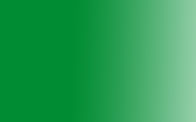 Акрил Amsterdam Expert, 75мл, №618 Зеленый светлый устойчивый