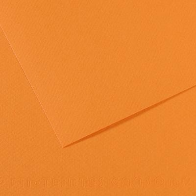 Бумага для пастели Mi-Teintes 160г/м.кв 50*65см №384, буйволовая кожа, 10л Бумага для пастели Mi-Teintes 160г/м.кв 50*65см №384, буйволовая кожа, 10л