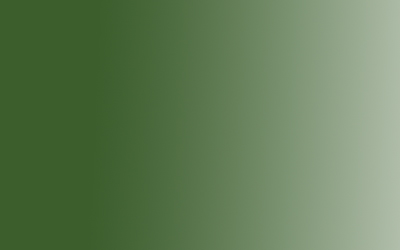 Акрил Amsterdam Expert, 75мл, №620 Зеленый оливковый