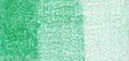 Карандаш цветной "Polychromos" серо-зеленый 