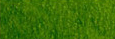 Карандаш цветной "Procolour" №50 Зеленый мох