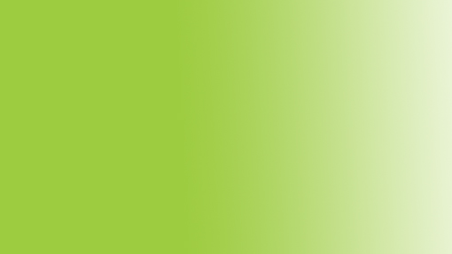 Заправка спиртовая для маркеров Copic, цвет №.FYG2 желто-зеленый флуоресцентный