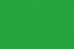 Краска масляная "Fine" 556 зеленый светлый 150мл туба