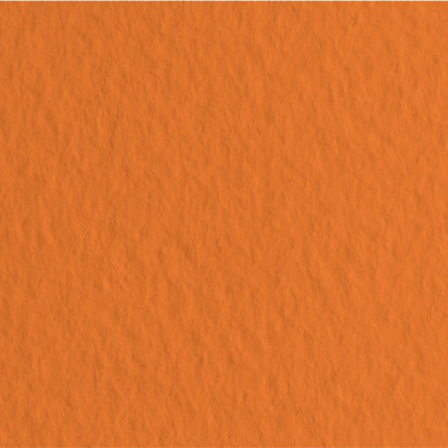 Бумага для пастели "Tiziano" 160г/м2 50x65см оранжевый 1л