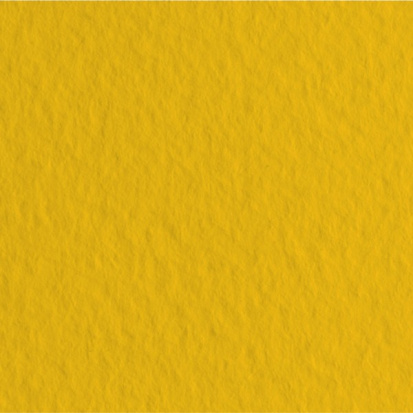 Бумага для пастели "Tiziano" 160г/м2 50x65см золотой, 10л