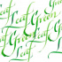 Тушь для каллиграфии (синяя крышка), зеленый лист 30мл