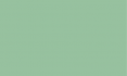 Маркер спиртовой "Finecolour Junior" 051 еловый зеленый G51