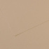 Бумага для пастели Mi-Teintes 160г/м.кв 50*65см №343, серо-бежевый,10л