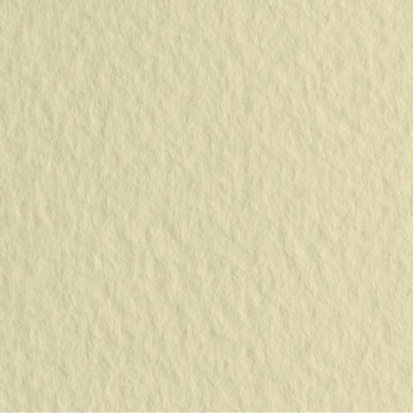 Бумага для пастели "Tiziano" 160г/м2 50x65см сахара, 10л