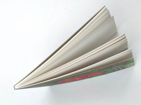 Склейка для акварели "Алая роза" 200г/м2 А4 20л Склейка для акварели "Алая роза" 200г/м2 А4 20л