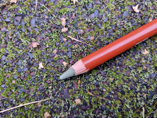 Карандаш цветной "Drawing" зеленый оливковый земляной 5160 Карандаш цветной "Drawing" зеленый оливковый земляной 5160