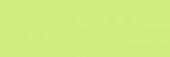 Карандаш пастельный "Pastel" зеленый салатовый P470