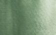Акварель однопигментная "Extra" в кювете, Оксид хрома зеленый, 2,5мл