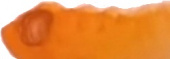 Краска акварельная "Watercolor Pro" 422 оранжевый 12 мл sela25
