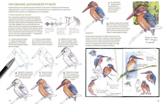 Дневник художника-натуралиста. Как рисовать животных, птиц, растения и пейзажи