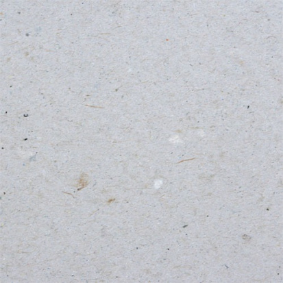 Картон 1010г/м2 350х500мм 1л