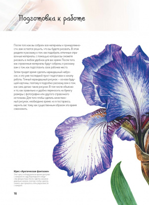 Основы ботанической живописи акварелью