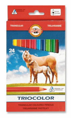Набор цветных карандашей "Triocolor" 24 цв, трехгранный корпус
