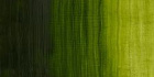 Масляные водорастворимые краски Artisan, 37 мл, преманентный зеленая крушина