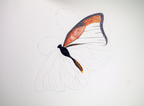 Набор карандашей акварельные "Progresso Aquarell", 24цв., метал.пенал Набор карандашей акварельные "Progresso Aquarell", 24цв., метал.пенал