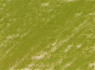 Карандаш пастельный "Pitt" майская зелень 