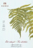 Планшет для эскизов "Ботанический сад" А-4 (210х297) (папортник) 30 л. sela