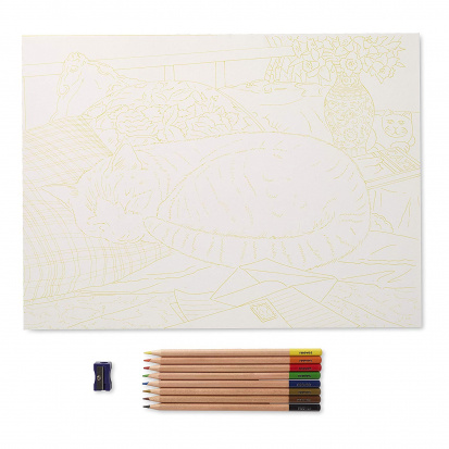 Набор "Рисуем по номерам" рисунок-мармеладный кот, цветные карандаши