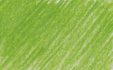Карандаш цветной "Coloursoft" зеленый горох C430