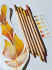 Набор цветных карандашей "Rembrandt Polycolor" коричневые оттенки, 6шт