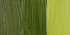Краска масляная "Rembrandt" туба 40мл №281 Желто-зеленый прозрачный sela