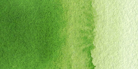 Акварель Van Gogh, зеленый кленовый 10мл