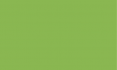 Маркер спиртовой "Finecolour Brush" 450 травянисто-зеленый YG450