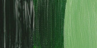 Краска масляная "Rembrandt" туба 40мл №623 Зеленый травяной