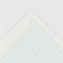 Бумага линованная листами для спенсериана, 25 листов, A4, 100г/м2