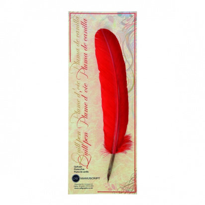 Перо гусиное декор. 27-30 см ассорти 1 шт. блистер sela Перо гусиное декор. 27-30 см ассорти 1 шт. блистер sela