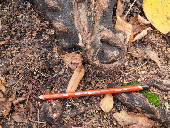 Карандаш цветной "Drawing" шоколадный 6600