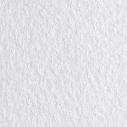 Бумага для пастели "Tiziano" 160г/м2 50x65см белый, 10л