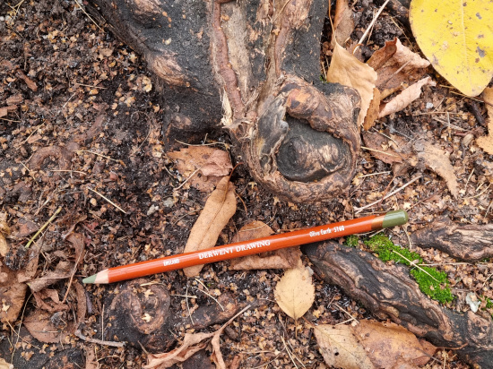 Карандаш цветной "Drawing" зеленый оливковый земляной 5160 Карандаш цветной "Drawing" зеленый оливковый земляной 5160