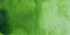Акварель "Cotman" зеленая крушина 21мл