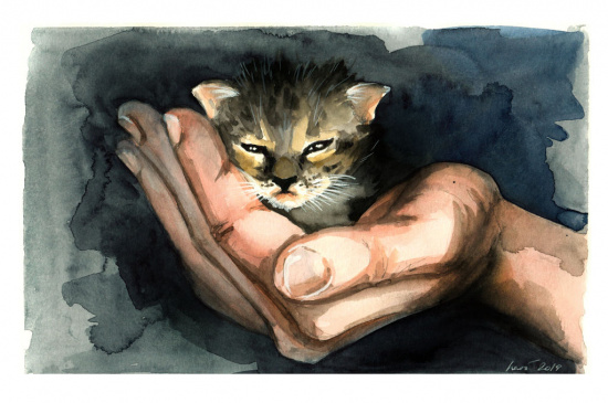 Бумага для акварели "Britannia", 300 г/м2, 50х65 см, целлюлоза 100%, гладкая, 5л 