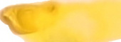 Краска акварельная "Watercolor Pro" 411 желтый лимон 12 мл sela25