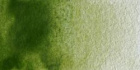 Акварель художественная, 5 мл, зеленый оливковый