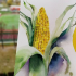 Скетчбук для акварели "Aquarellebook" 25х25 см, 24 л, 300г/м2, хлопок, обложка Зеленый