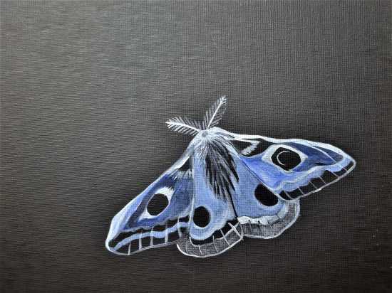 Акриловые краски "Galeria", баночка 500 мл, белый титан