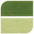 Масляная краска Daler Rowney "Graduate", Зеленый травяной, 38мл 